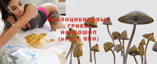 ГАЛЛЮЦИНОГЕННЫЕ ГРИБЫ Пересвет