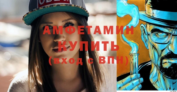 прущие грибы Переславль-Залесский