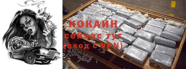 ГАЛЛЮЦИНОГЕННЫЕ ГРИБЫ Пересвет
