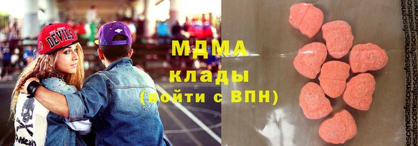 прущие грибы Переславль-Залесский