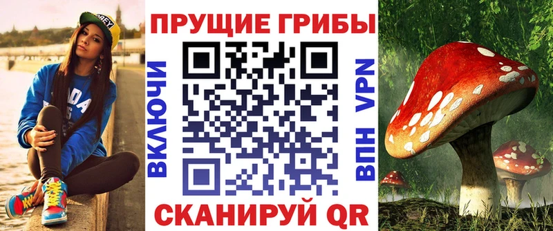 darknet какой сайт  купить закладку  Сердобск  Псилоцибиновые грибы MAGIC MUSHROOMS 